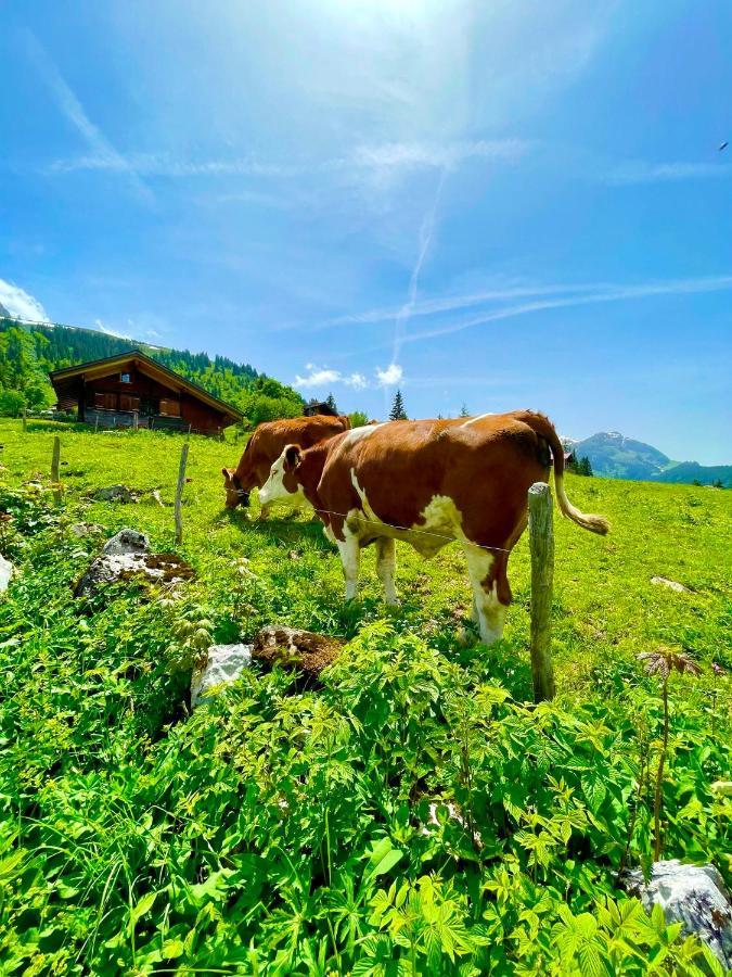 Charmant Chalet Mit See Und Bergsicht Hofstetten bei Brienz Kültér fotó